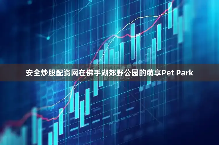 安全炒股配资网在佛手湖郊野公园的萌享Pet Park